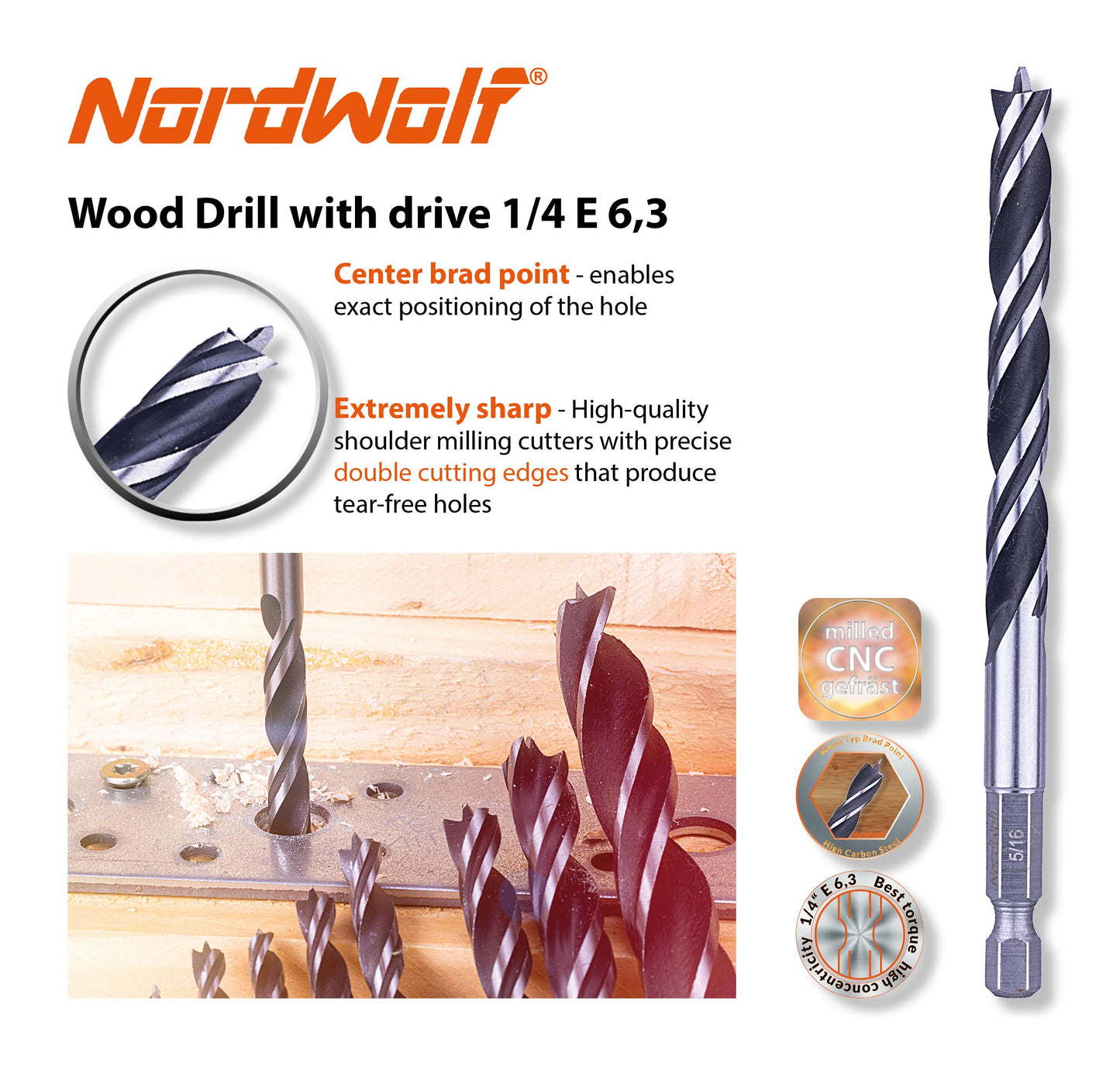 NordWolf 12-Piece Brad Point Wood Drill Bit Set for Carpenter Woodworking, Double Flutes Design with 1/4" Hex Shank, SAE Sizes 1/8" to 1/2"