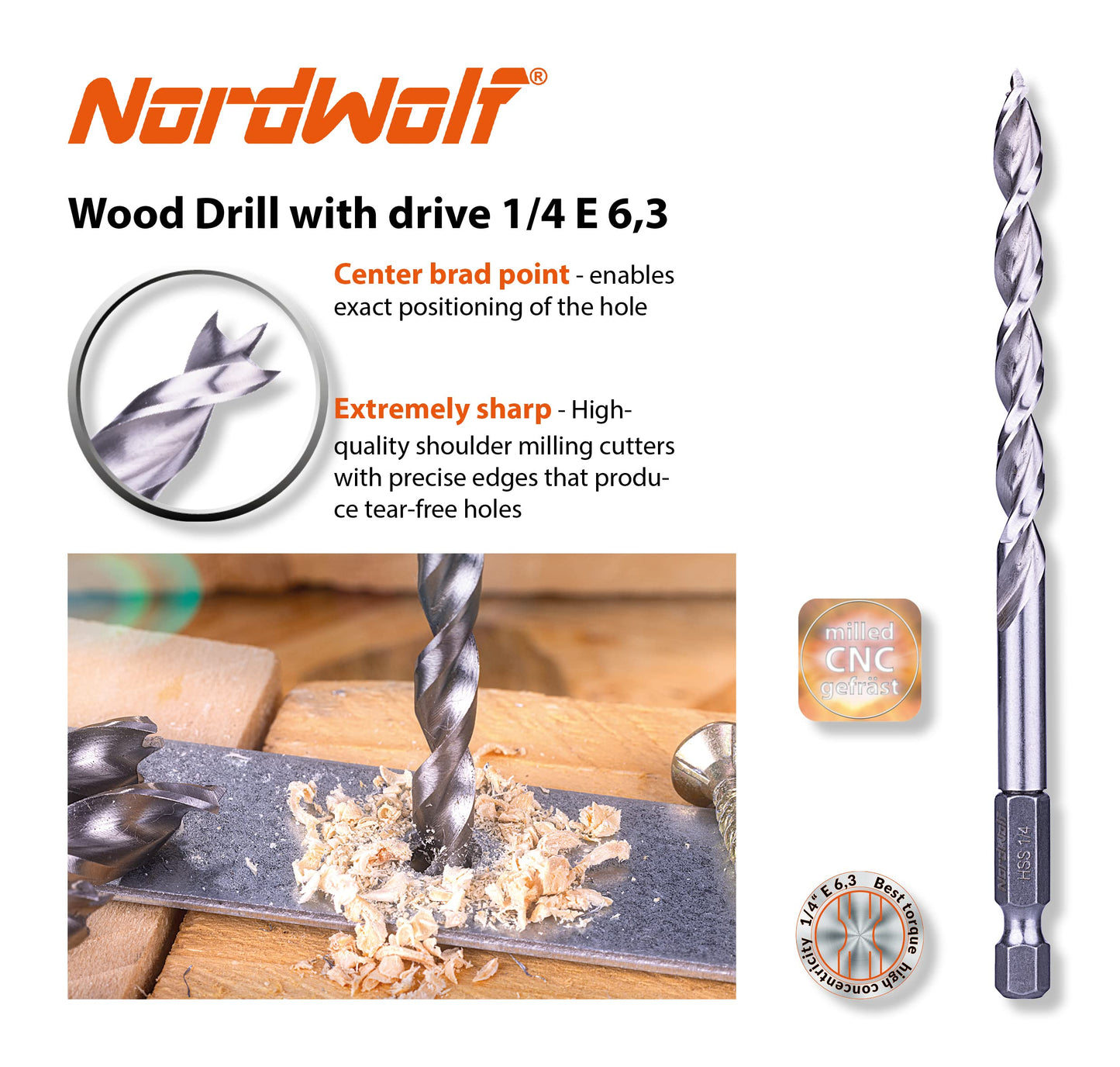 NordWolf 12-Piece Brad Point Wood Drill Bit Set for Carpenter Woodworking, Double Flutes Design with 1/4" Hex Shank, SAE Sizes 1/8" to 1/2"